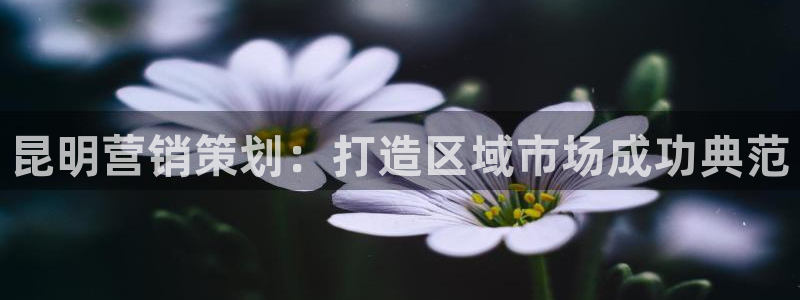 必赢最新