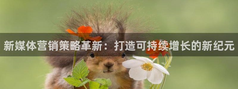 必赢线上网址