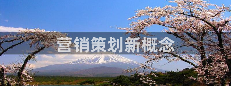 必赢棋脾9655app下载