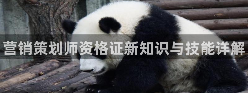必赢官网下载安装手机版