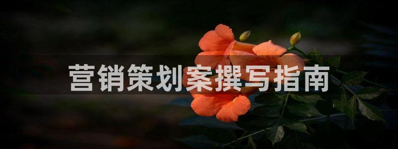 必赢官网入口下载安装手机版
