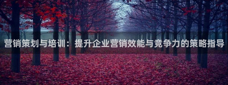 必赢网站充值是真的吗