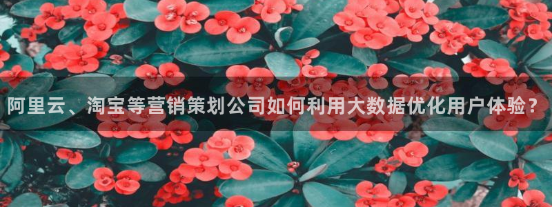 必赢平台网