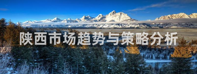 必赢线上网址是什么