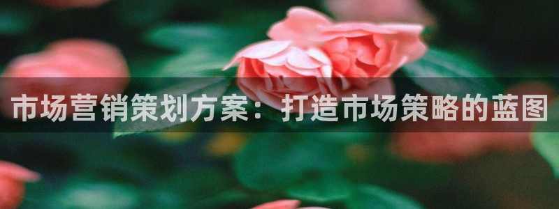 必赢集团怎么样