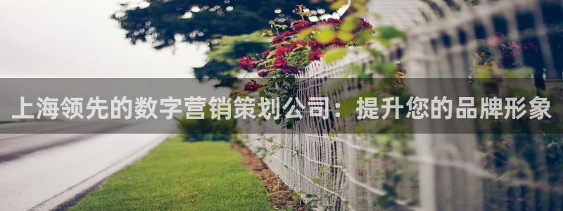 必赢线上网址是什么