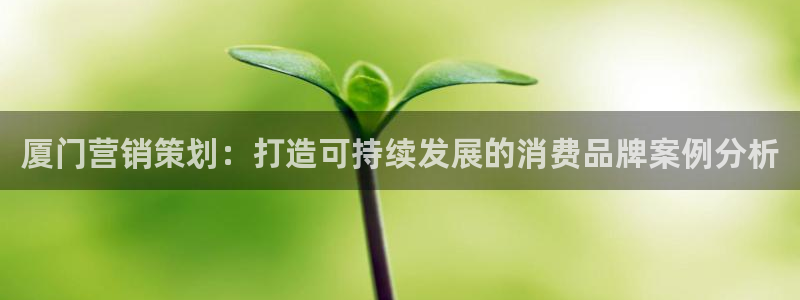 必赢平台电子