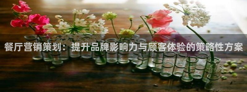必赢公司是怎样的一家企业