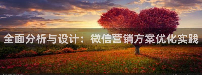 必赢这个软件怎么样