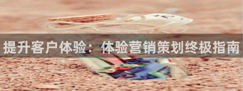 必赢国际的网站多少