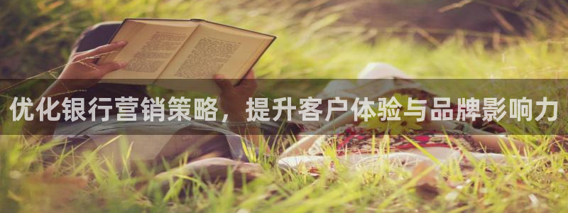 必赢平台怎么样
