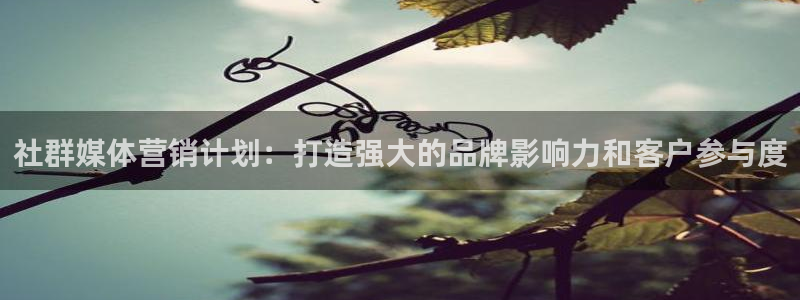 必赢线上网址是什么