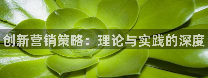 必赢集团网站改成多少