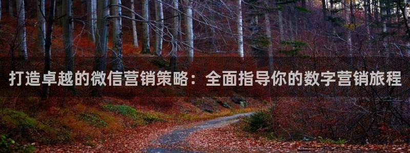 必赢516net怎么进