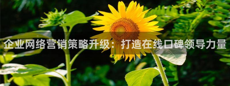 必赢手机app下载 最新版安装