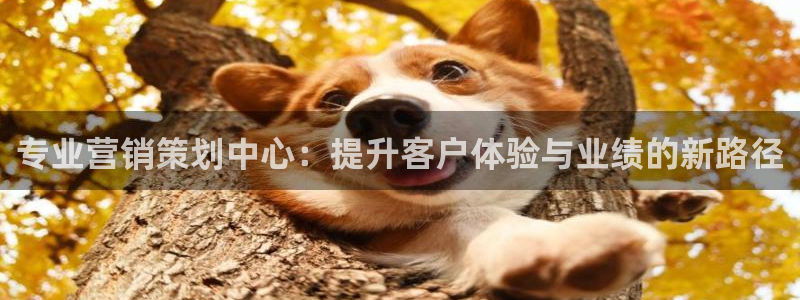 必赢国际437官网版