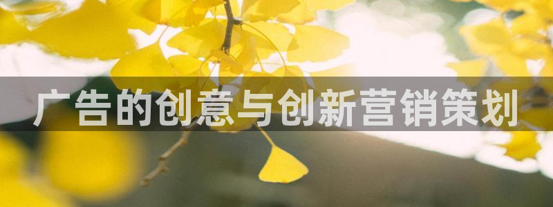 必赢国际技巧
