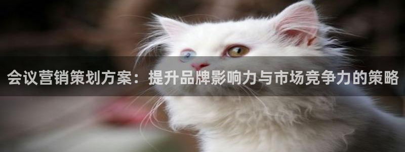 必赢集团winex