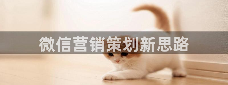 必赢官网8873欢迎您