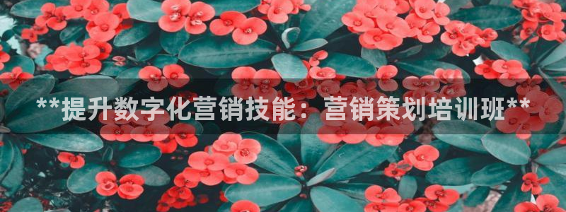 必赢网怎么打不开了呀