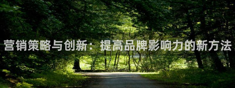 必赢565net官网