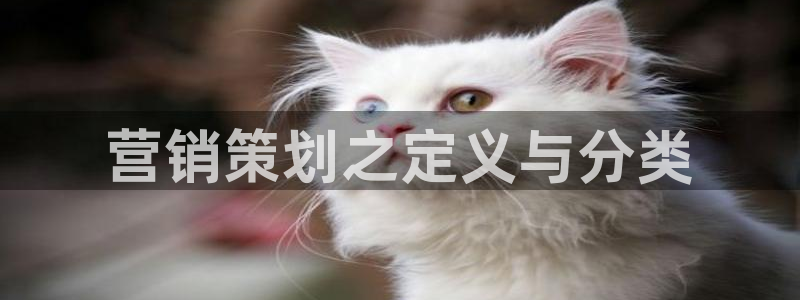 必赢app能挣钱吗是真的吗