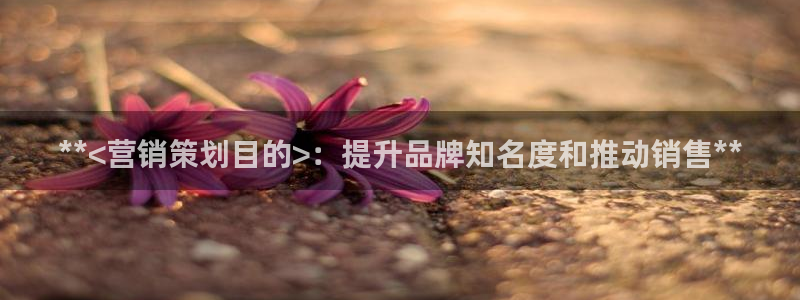 必赢线上网址查询