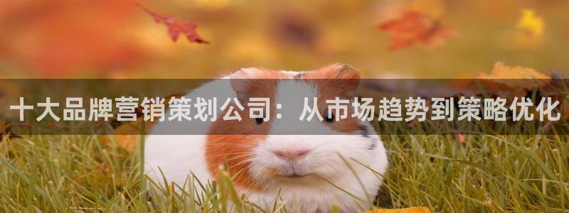 必赢官网网站入口
