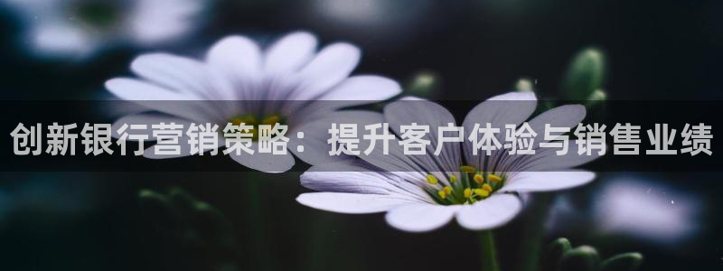 必赢棋脾