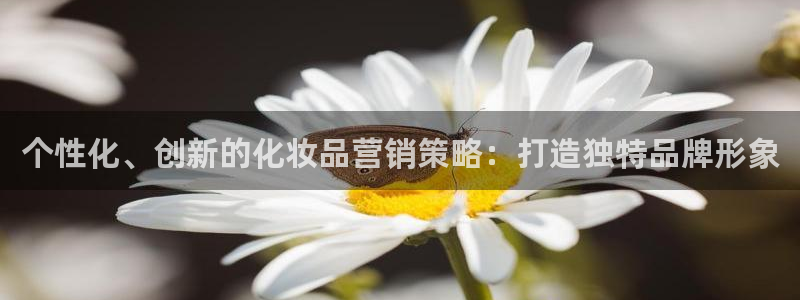 必赢客安卓版