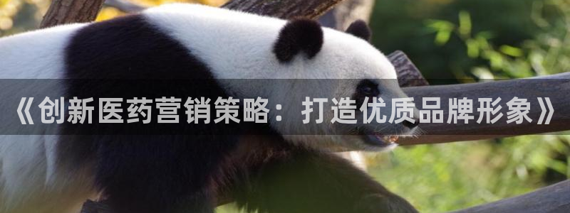 必赢棋盘app下载官网