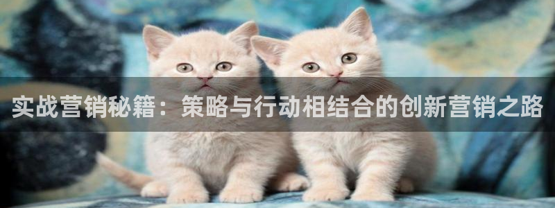 必赢国际app下链接