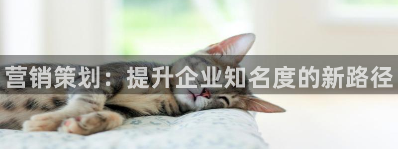 必赢net.95