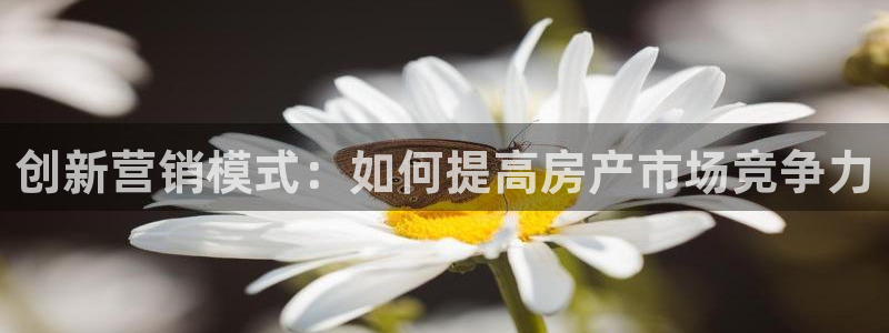 必赢图片