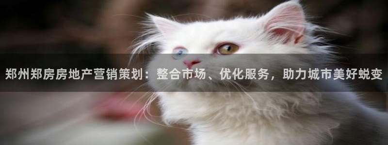 必赢官网下载安装