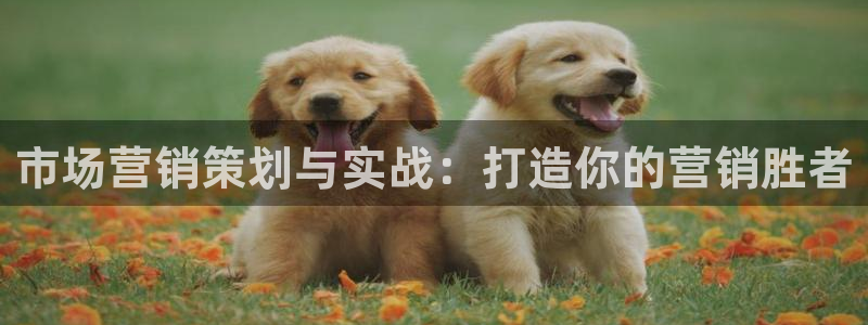必赢7231