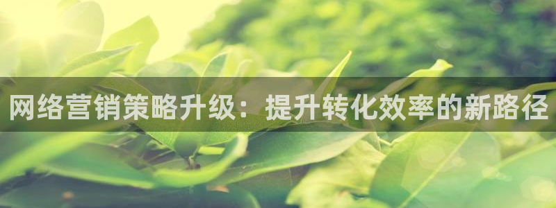 必赢科技北京有限公司