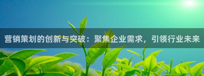 必赢国际437官方简介