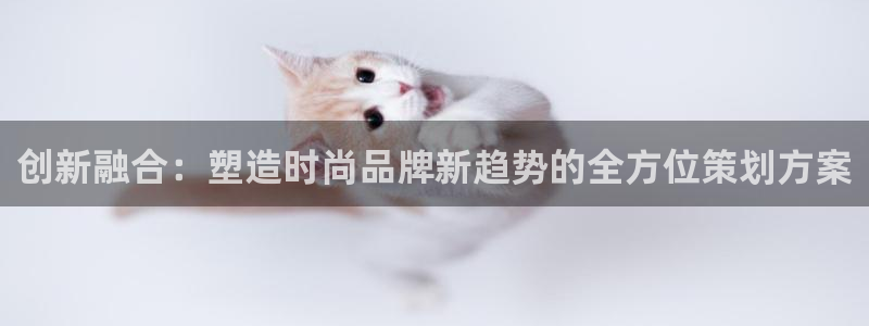 必赢网址