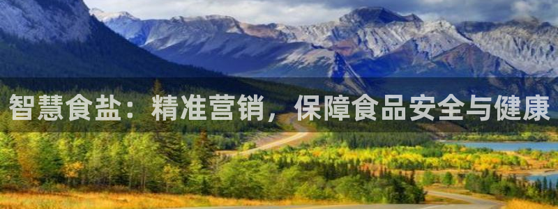 必赢网下载：智慧食盐：精准营销