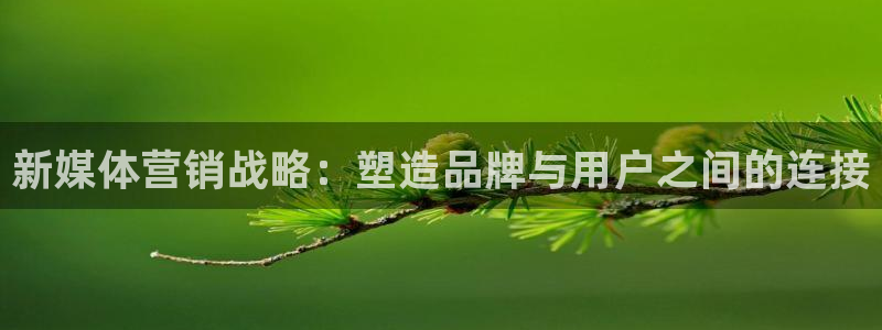 必赢官网8873欢迎您：新媒体