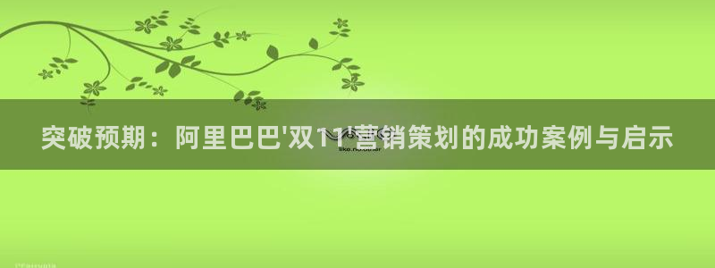 必赢公司是怎样的一家企业