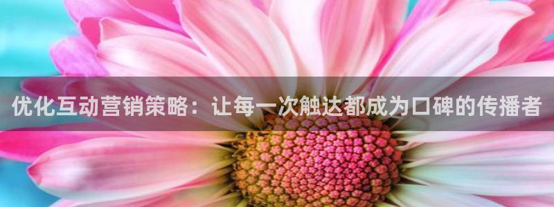 必赢下载二维码：优化互动营销策