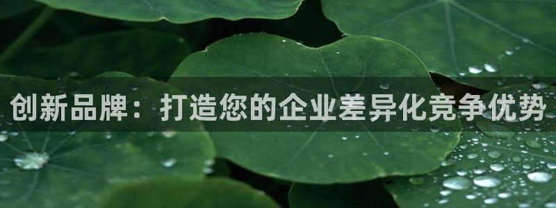 必赢亚赢网站官网下载安装手机版