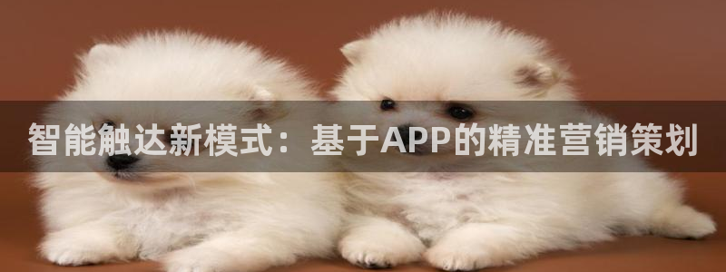 必赢集团网站官网