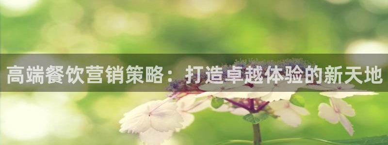 必赢72886网址多少啊