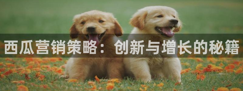 必赢线上网址是什么