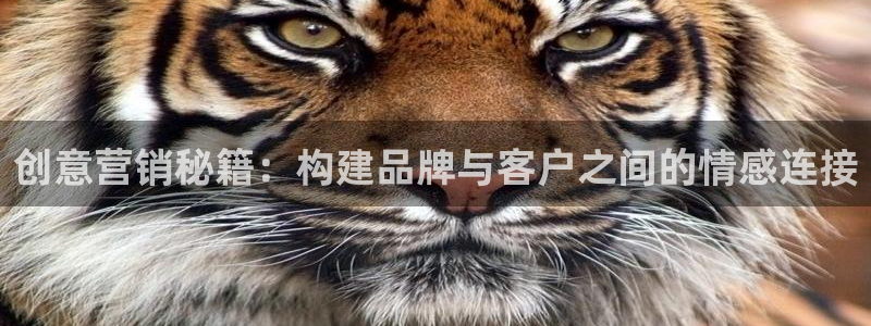 必赢app客户端下载官网手机版