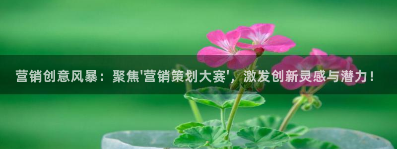 必赢国际437官方简介