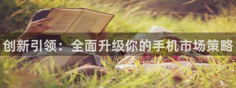 必赢集团怎么样：创新引领：全面